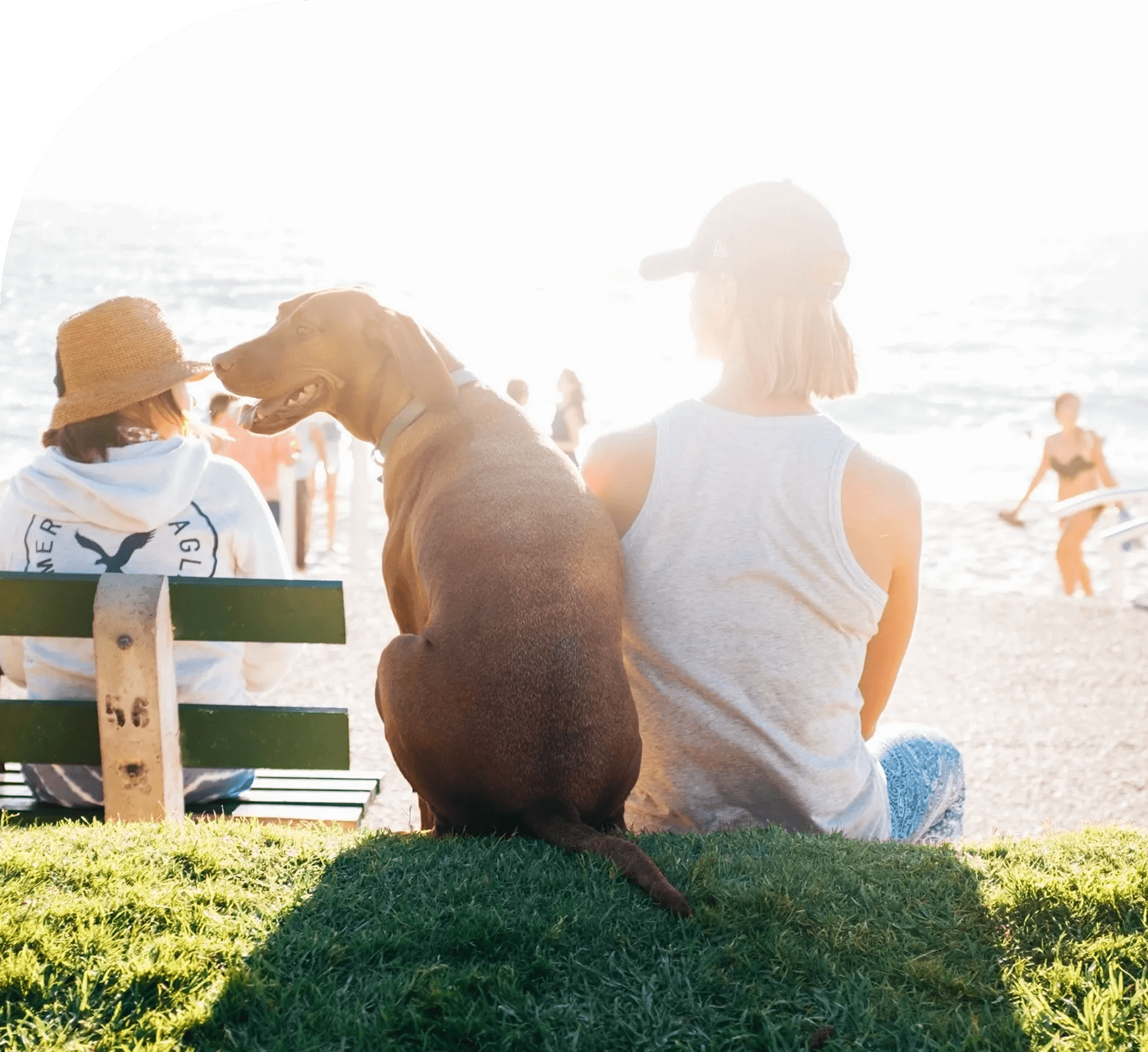 People and dog sitting by the beach.