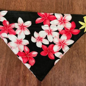 Floral bandana with red and white flowers.